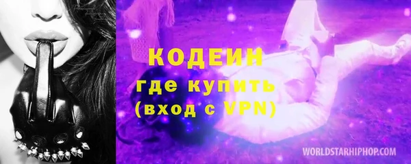 ГАЛЛЮЦИНОГЕННЫЕ ГРИБЫ Абаза