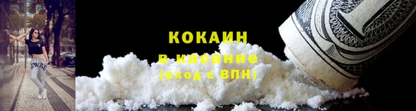 ГАЛЛЮЦИНОГЕННЫЕ ГРИБЫ Абаза