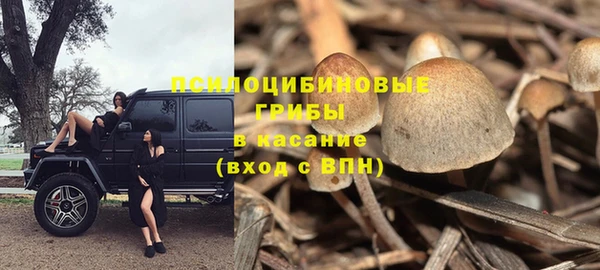ГАЛЛЮЦИНОГЕННЫЕ ГРИБЫ Абаза
