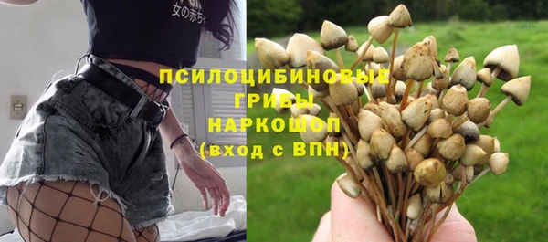 спиды Навашино