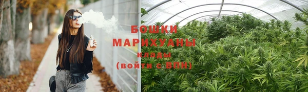ГАЛЛЮЦИНОГЕННЫЕ ГРИБЫ Абаза